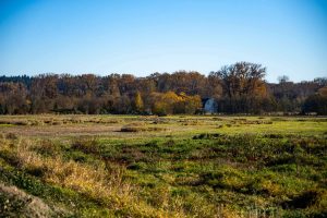 Billy Frank Jr. Nisqually National Wildlife Refuge