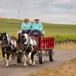 Outdoor Activities for Children in the Tri-Cities Horsedrawn Wagon