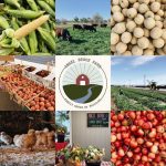 Produce Stands in The Tri-Cities Angel Brook