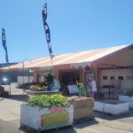 Produce Stands in The Tri-Cities Lil Fruit Stand