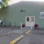 Summer Activities and Events in the Tri-Cities Animal Shelter