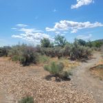 Seven Outdoor Activities for All Ages In The Tri-Cities Chamna Hikes