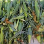 Shop local Columbia Basin Market Produce