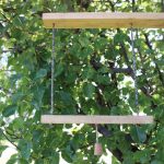 The Nut Shack squirrel Swing