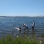 Tri-Cities swim