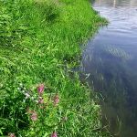 Tri-Cities swimming holes
