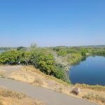 Hikes in the Tri-Cities Bateman Island