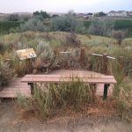 Tri-Cities Instagram Amon Basin Bench