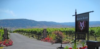 Wenatchee Wine Tour