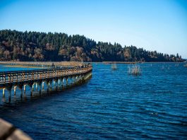 Billy Frank Jr. Nisqually National Wildlife Refuge