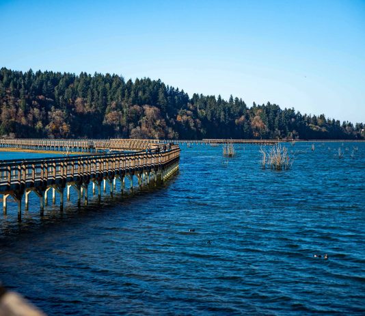 Billy Frank Jr. Nisqually National Wildlife Refuge