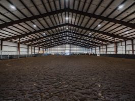 T90 Ranch