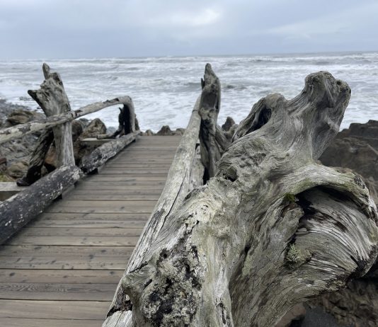 olympic peninsula beaches