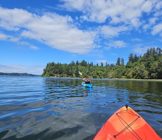 Olympia Budd Bay Kayaking