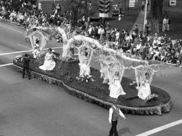 Wenatchee Apple Blossom Festival History