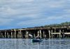 Woodard Bay Kayaking Olympia Lacey