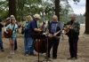 Rainier Bluegrass Festival