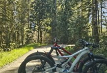 North Slope Trails Olympia
