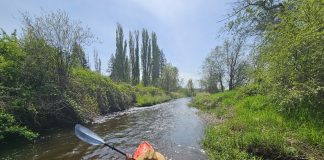 Kayaking near Olympia