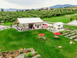 Wenatchee apple orchards