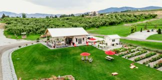 Wenatchee apple orchards