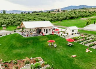 Wenatchee apple orchards