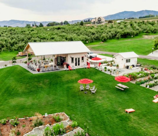 Wenatchee apple orchards