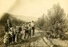 Wenatchee historic orchards