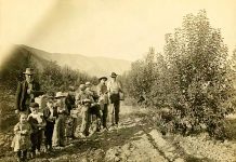 Wenatchee historic orchards