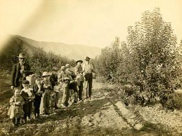 Wenatchee historic orchards