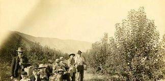 Wenatchee historic orchards