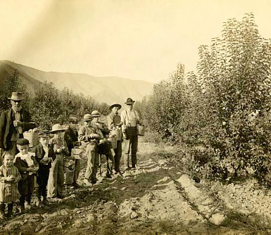 Wenatchee historic orchards