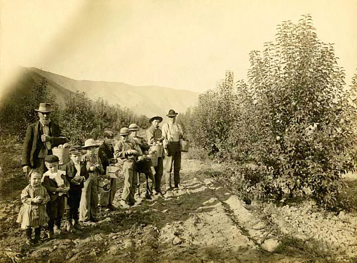 Wenatchee historic orchards kids Wenatchee historic orchards