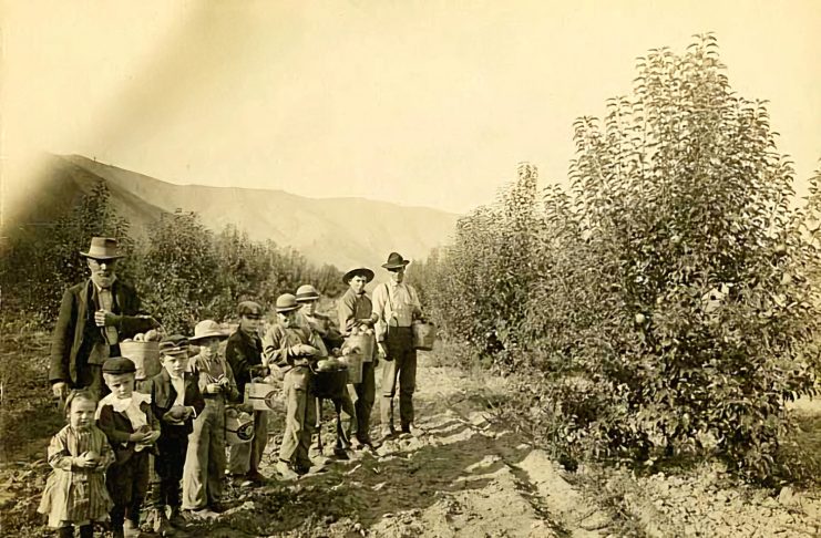 Wenatchee historic orchards