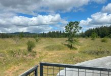 view of the mima mounds and a paved walkway from an observation deck with a metal mesh railing