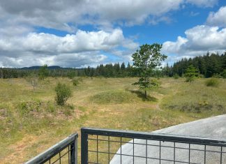 view of the mima mounds and a paved walkway from an observation deck with a metal mesh railing